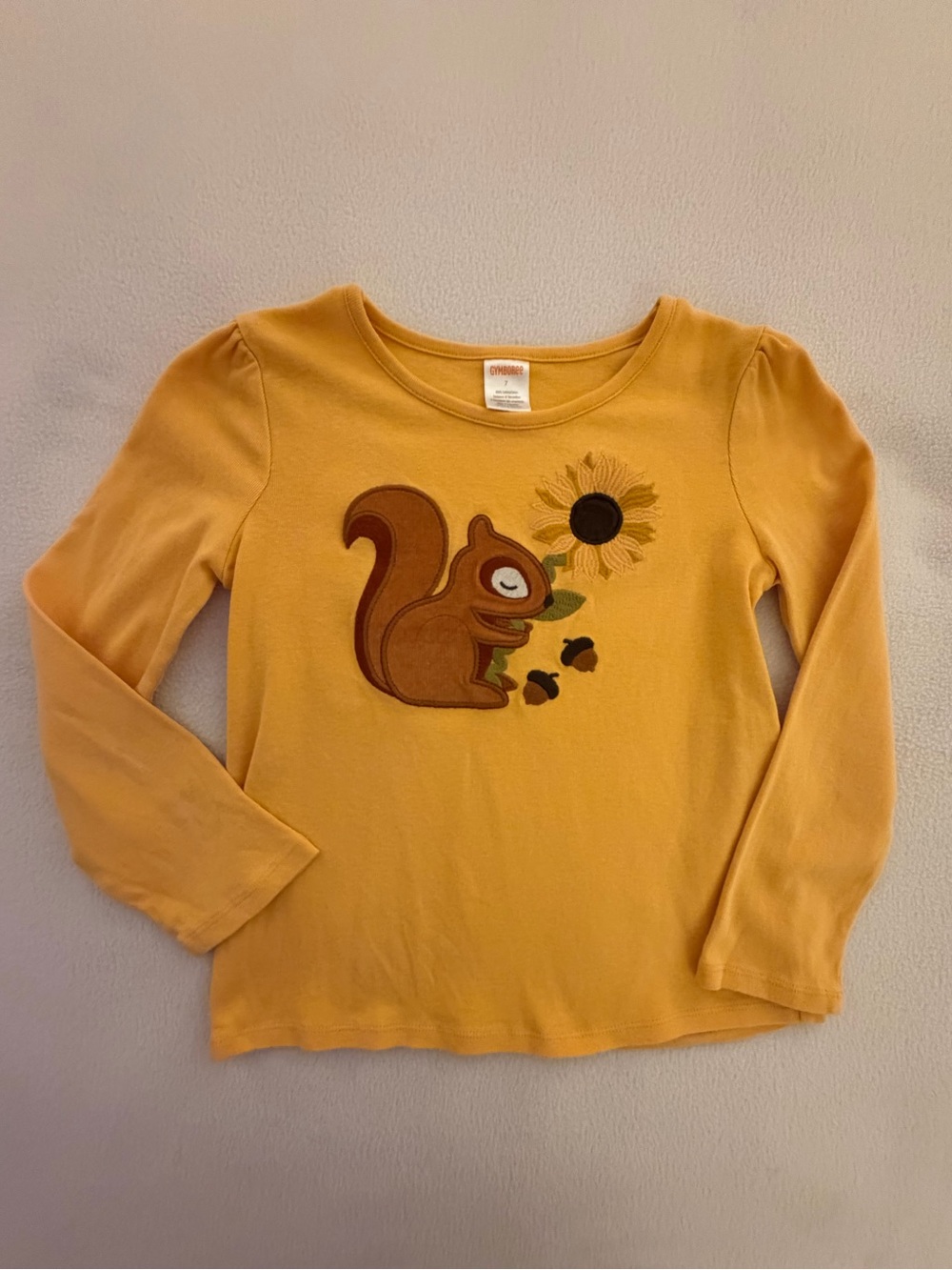 Gymboree Autumn Harvest Squirrel Sunflower Top